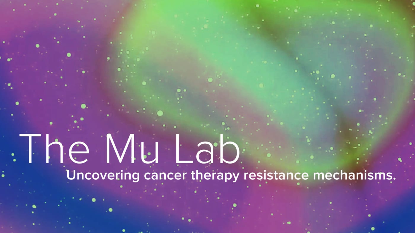 Mu Lab | Mu Lab