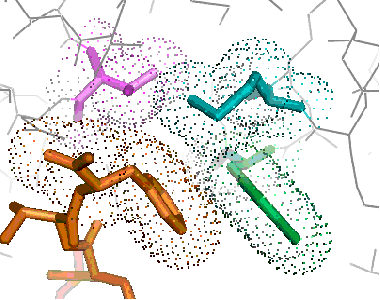 Regan Laboratory | Regan Lab
