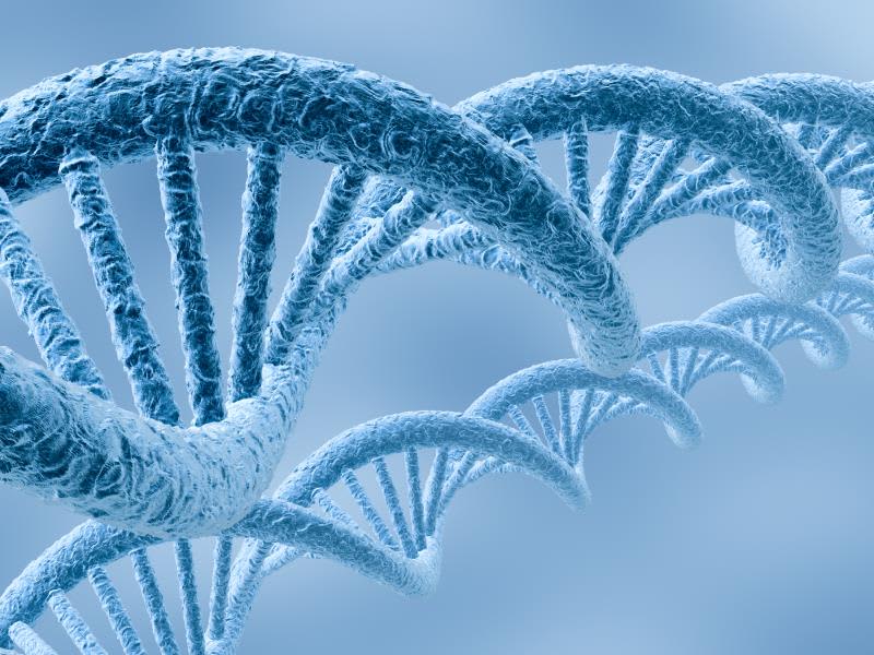 Genomics and Genetics &lt; Pulmonary, Critical Care and Sleep Medicine