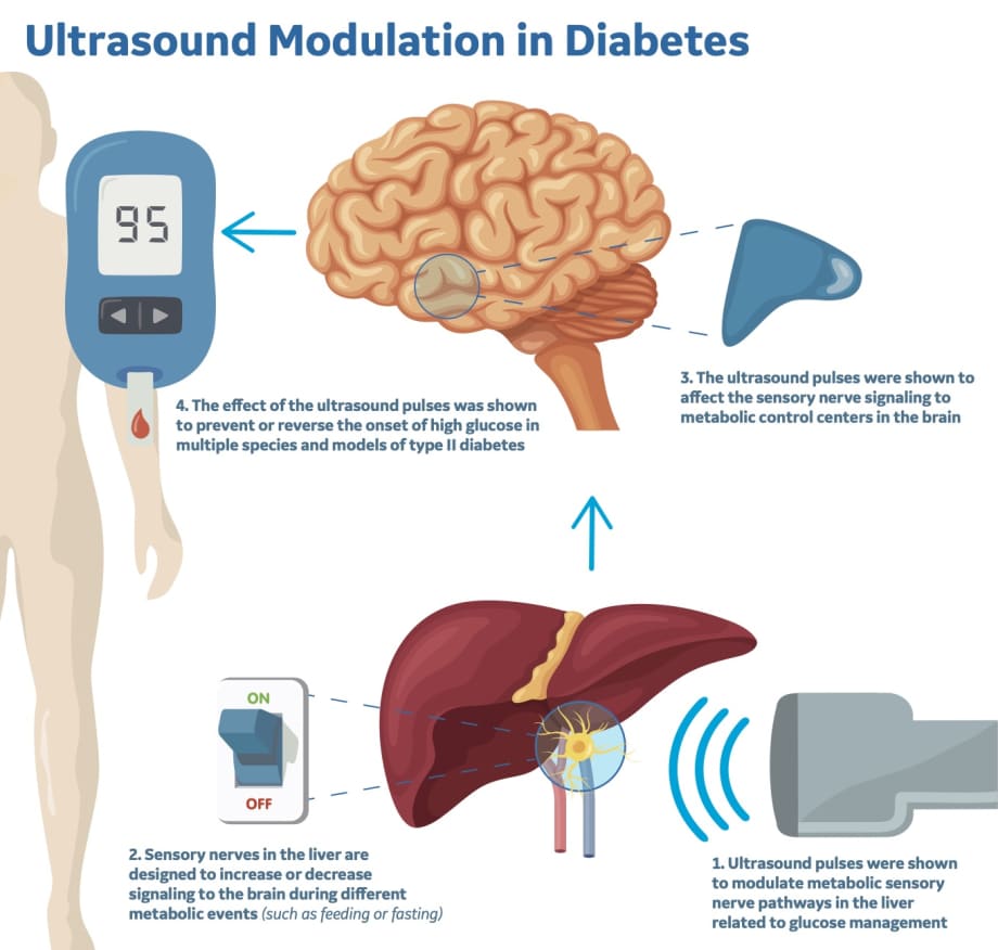 Diabetes reversal techniques