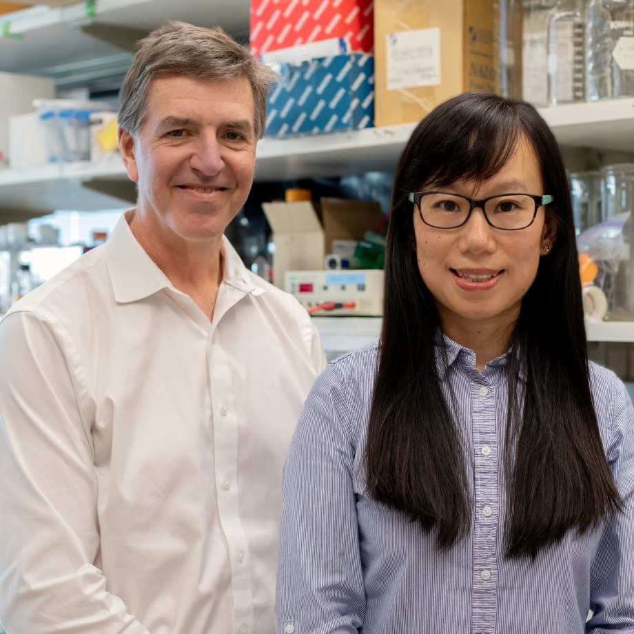 The Immune Network of the Central Nervous System < Le Zhang Lab