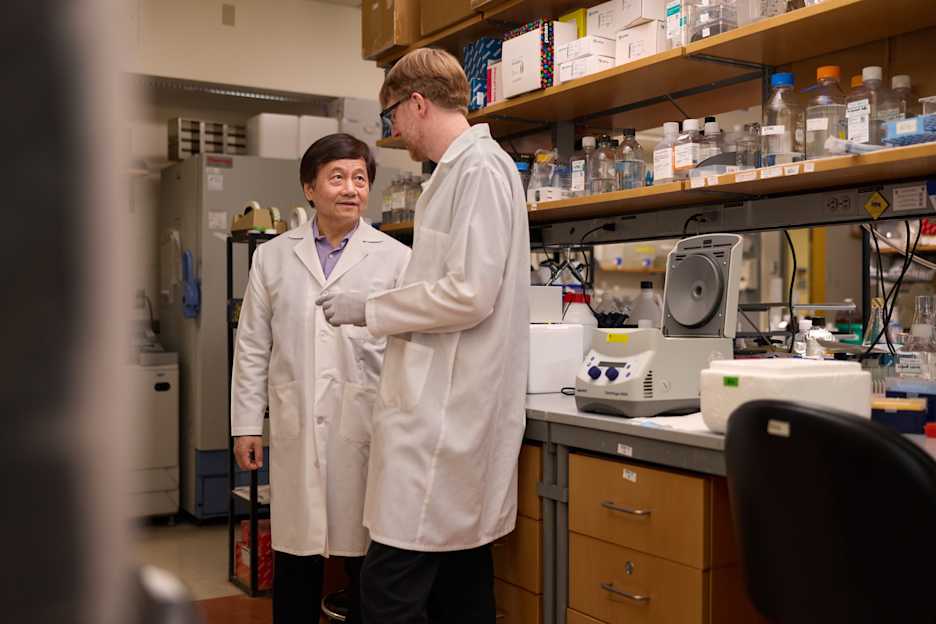 의과대학(해외 의학교육) 관련 참고 이미지