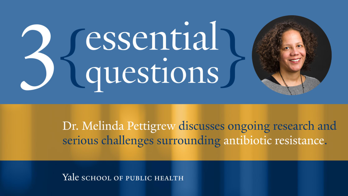 3 Essential Questions Antibiotic Resistance