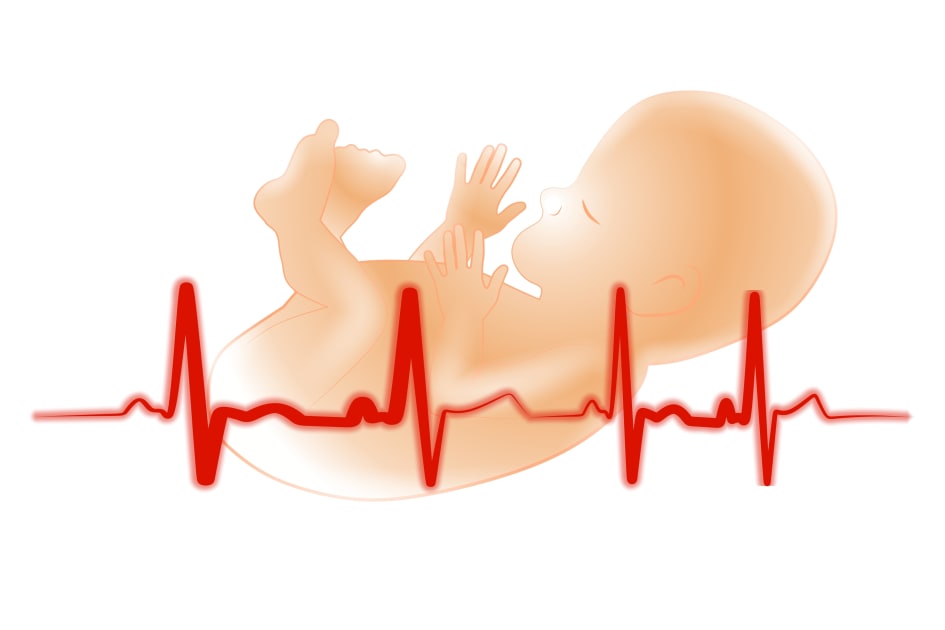 Low Levels of Vitamin B12 in Pregnancy May Increase the Risk of Preterm  Birth, Study Finds