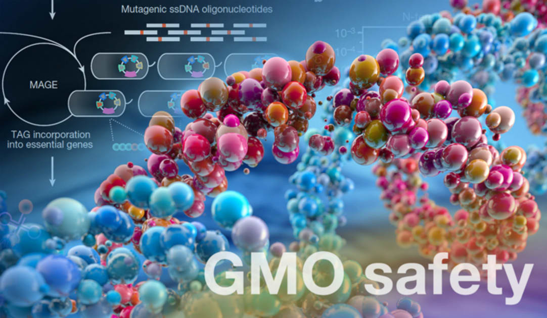 Synthetic amino acid enables safe, new biotechnology solutions to