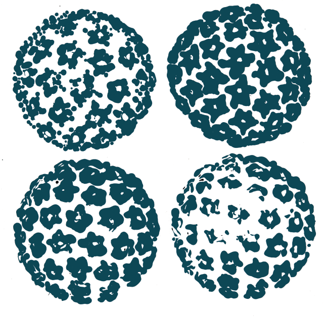 The Virus Behind The Cancer < Yale School Of Medicine