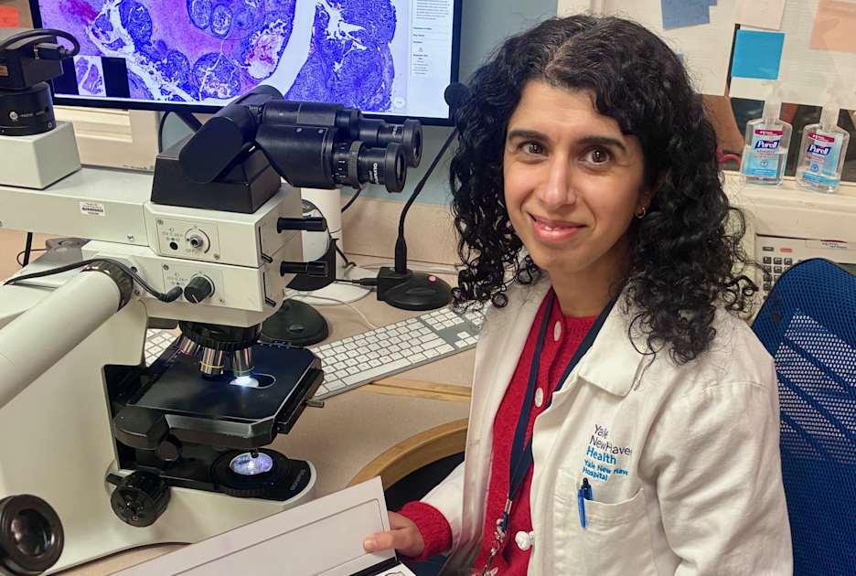Professor’s Pathology Slides Will Teach Residents, Fellows for ...