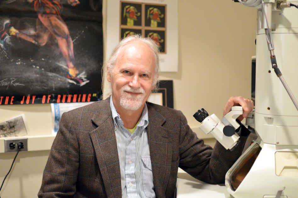 Anthony van den Pol, PhD, Professor of Neurosurgery, Dies