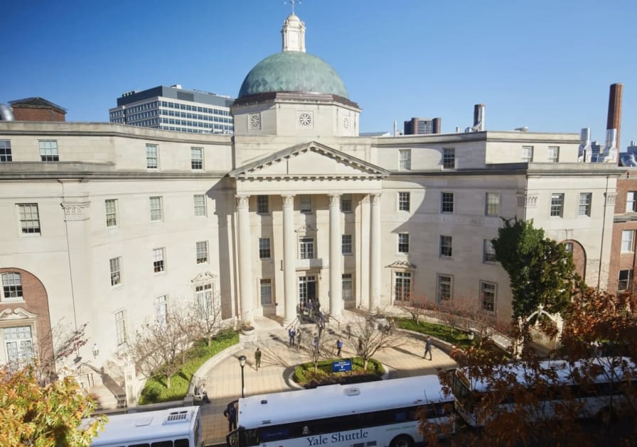 YSM News Now Available Here!