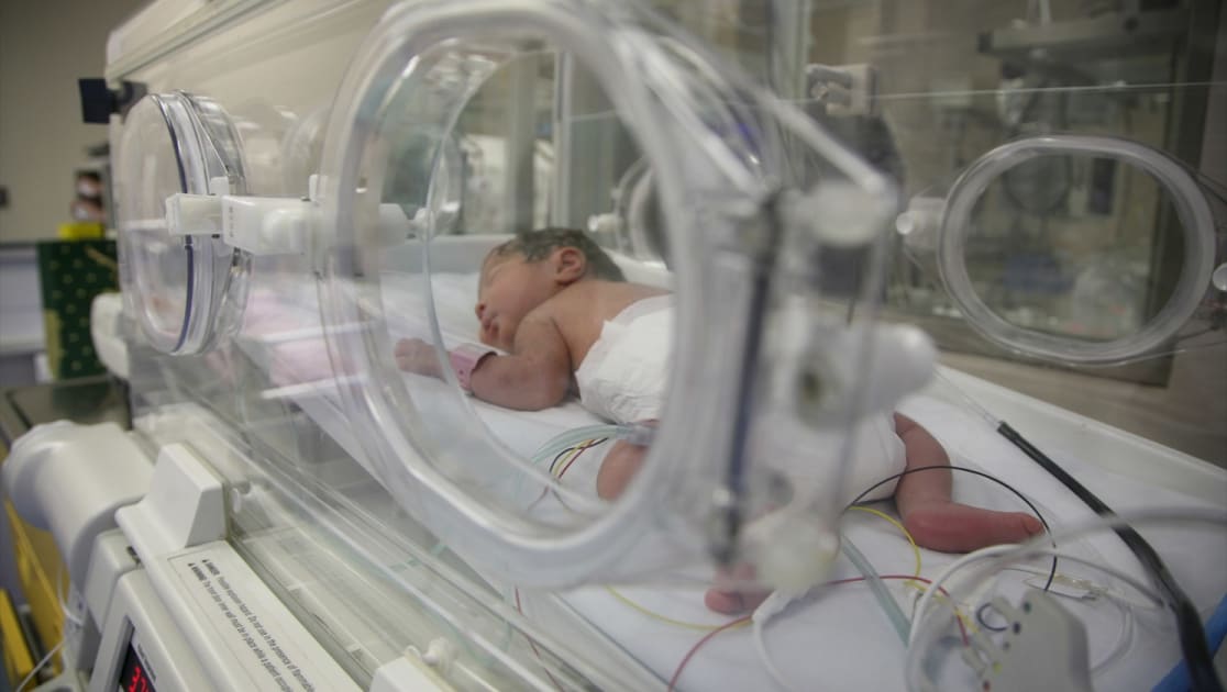 Perinatal Studies