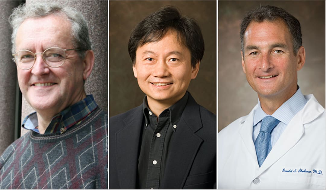Three Yale faculty elected members of American Academy of Arts and Sciences