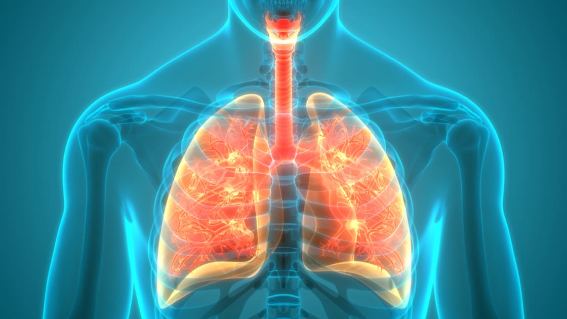 New testing method could make tuberculosis diagnosis easier