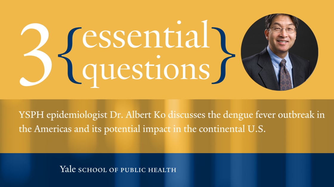 3 Essential Questions with Dr. Albert Ko – Dengue Fever Outbreak - Vimarsana News