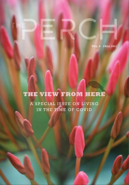 “The Perch” Mental Wellness Arts Journal Publishes Specific Concern