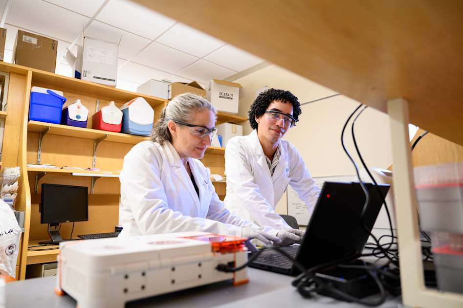 Meeting malaria where it lives