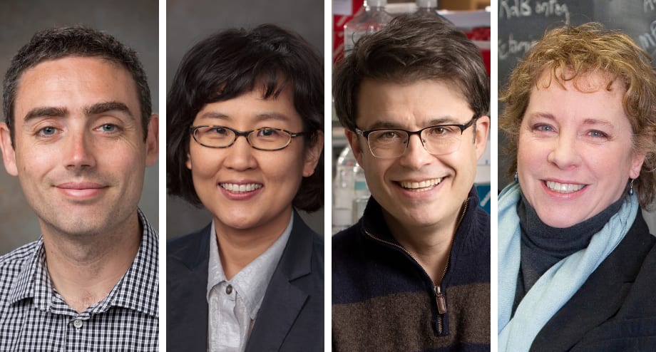 Kaye, Seo, Sestan, Arnsten Honored With 2021 Kavli Innovative Research Awards