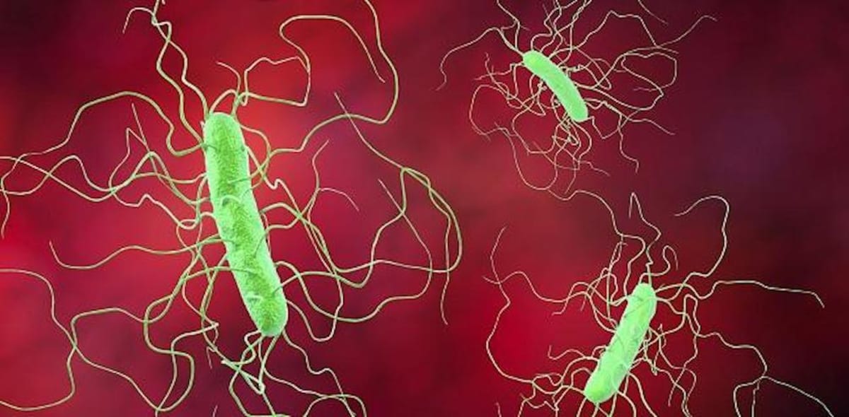 Antibiotic Resistance: Fighting a Global Threat With ‘Phage-hunting ...