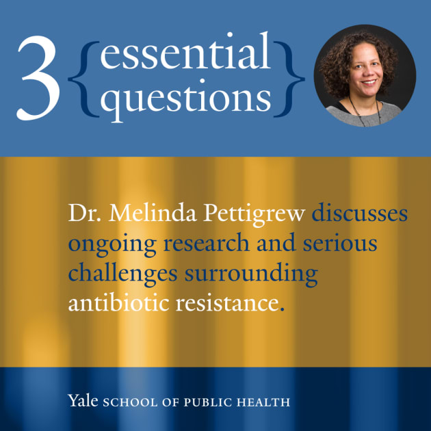 3 Essential Questions Antibiotic Resistance