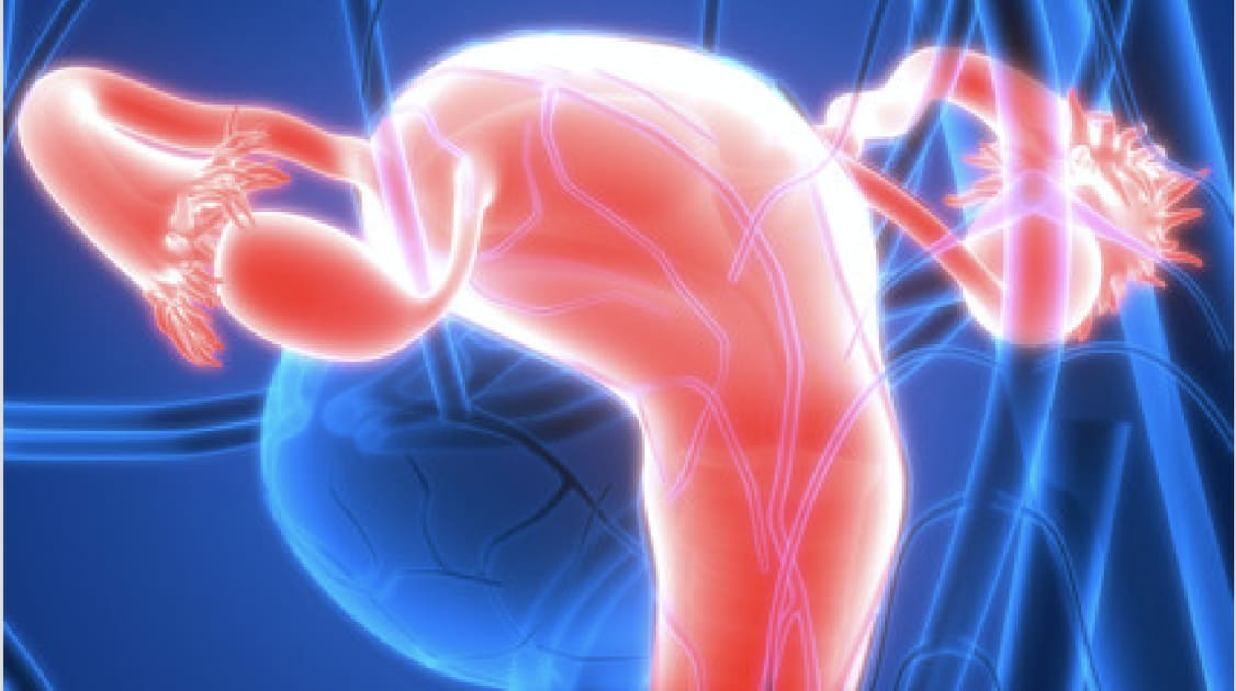 Yale Cancer Center researchers find genetic explanations ...