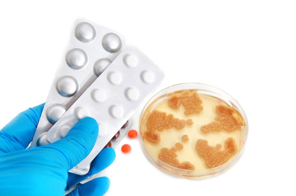 YSPH Mathematical Model Predicts Optimal Use of Antibiotics