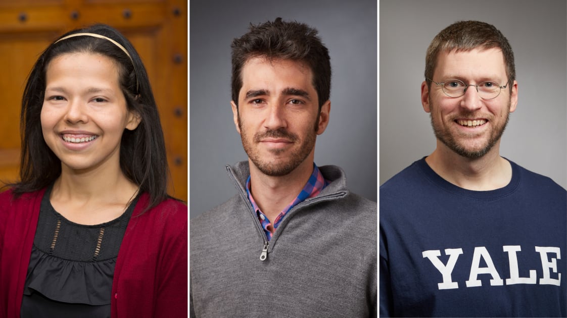 Top YSPH Educators Recognized