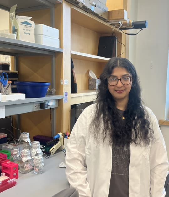 Burha Rasool | Yale School of Medicine