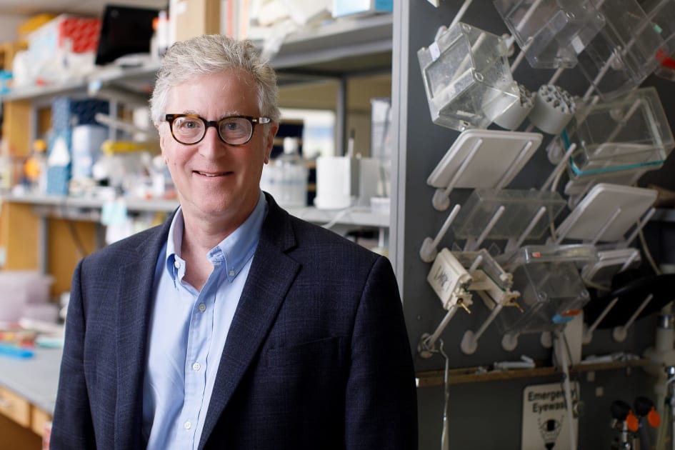 Fighting Breast and Ovarian Cancer With a Lupus Antibody