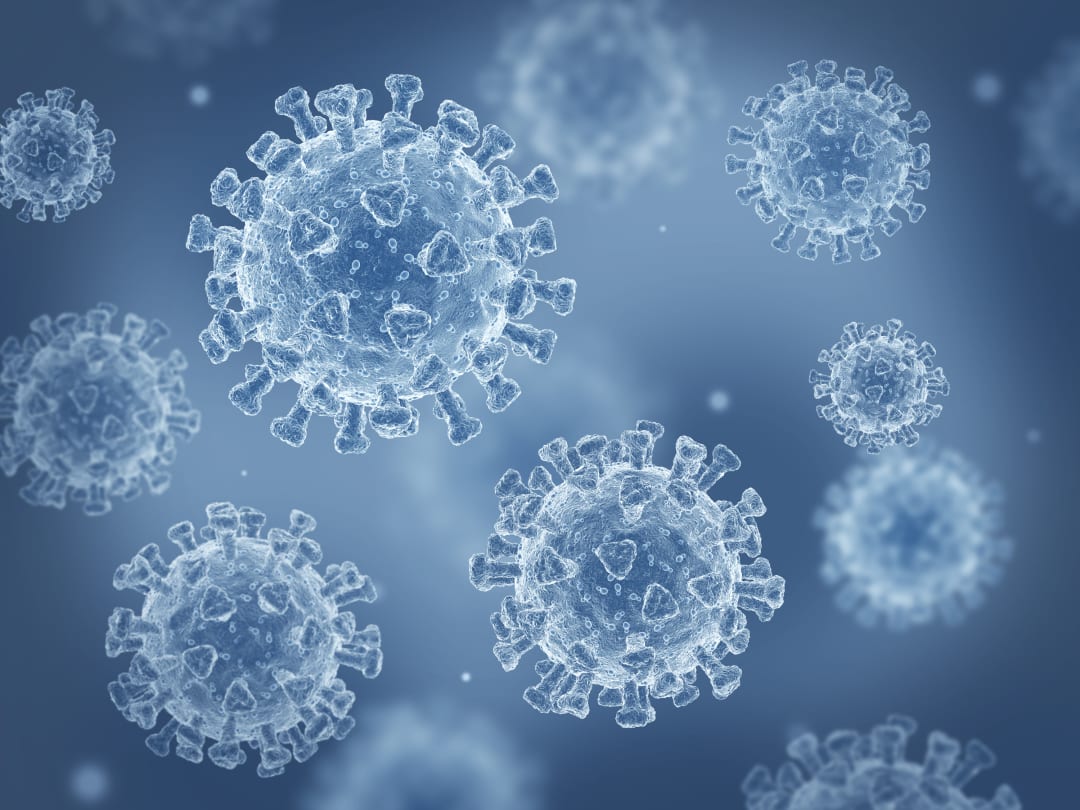 3 Things to Know About JN.1, the New Coronavirus Strain > News > Yale Medicine
