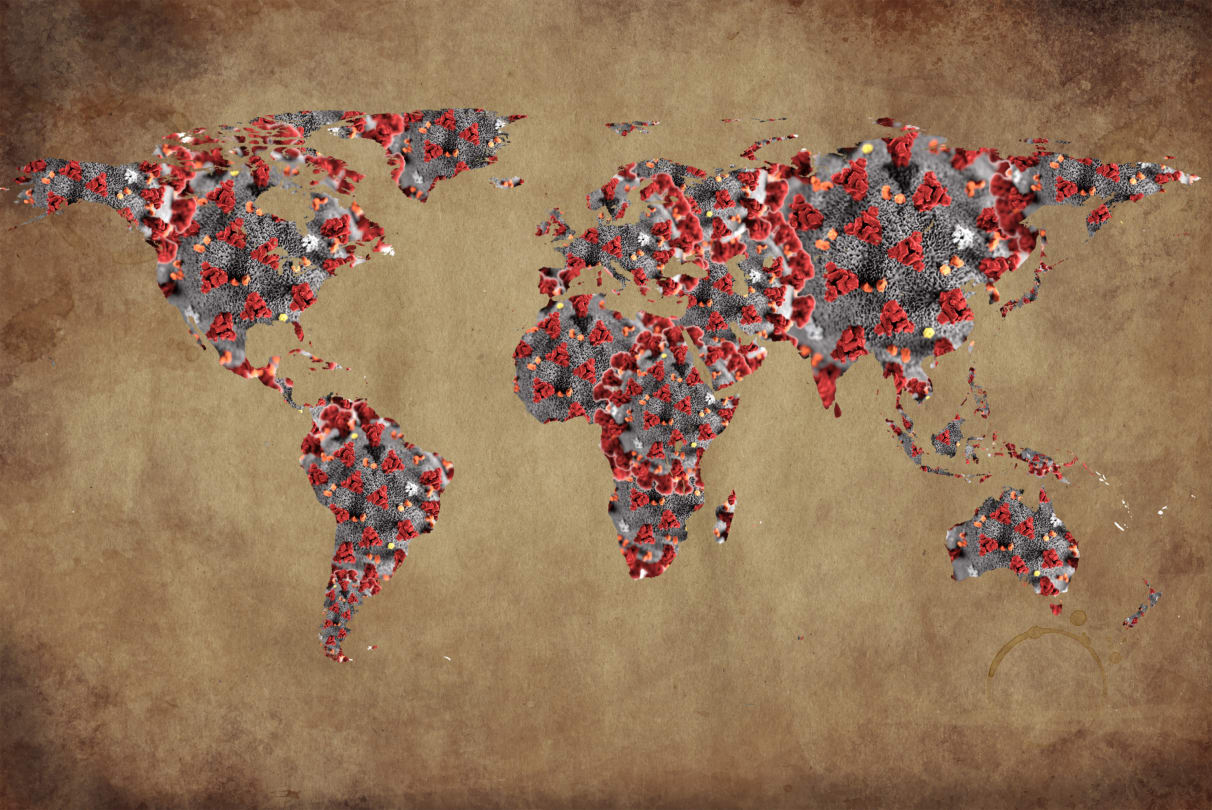 Finding Connection During Coronavirus Quarantine with Animal