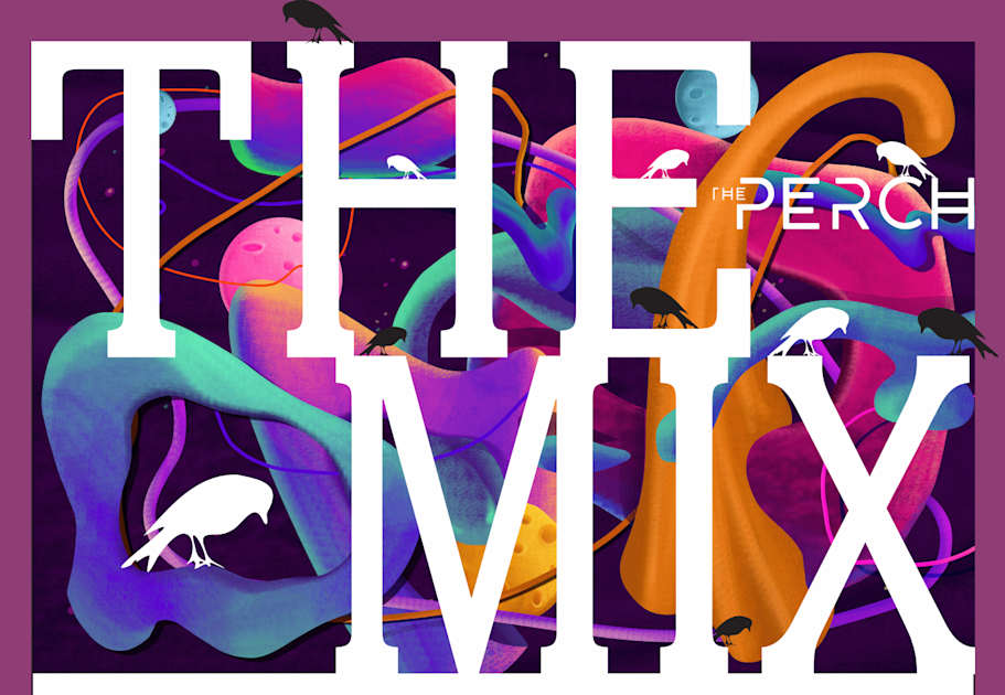 The PERCH Journal Overview