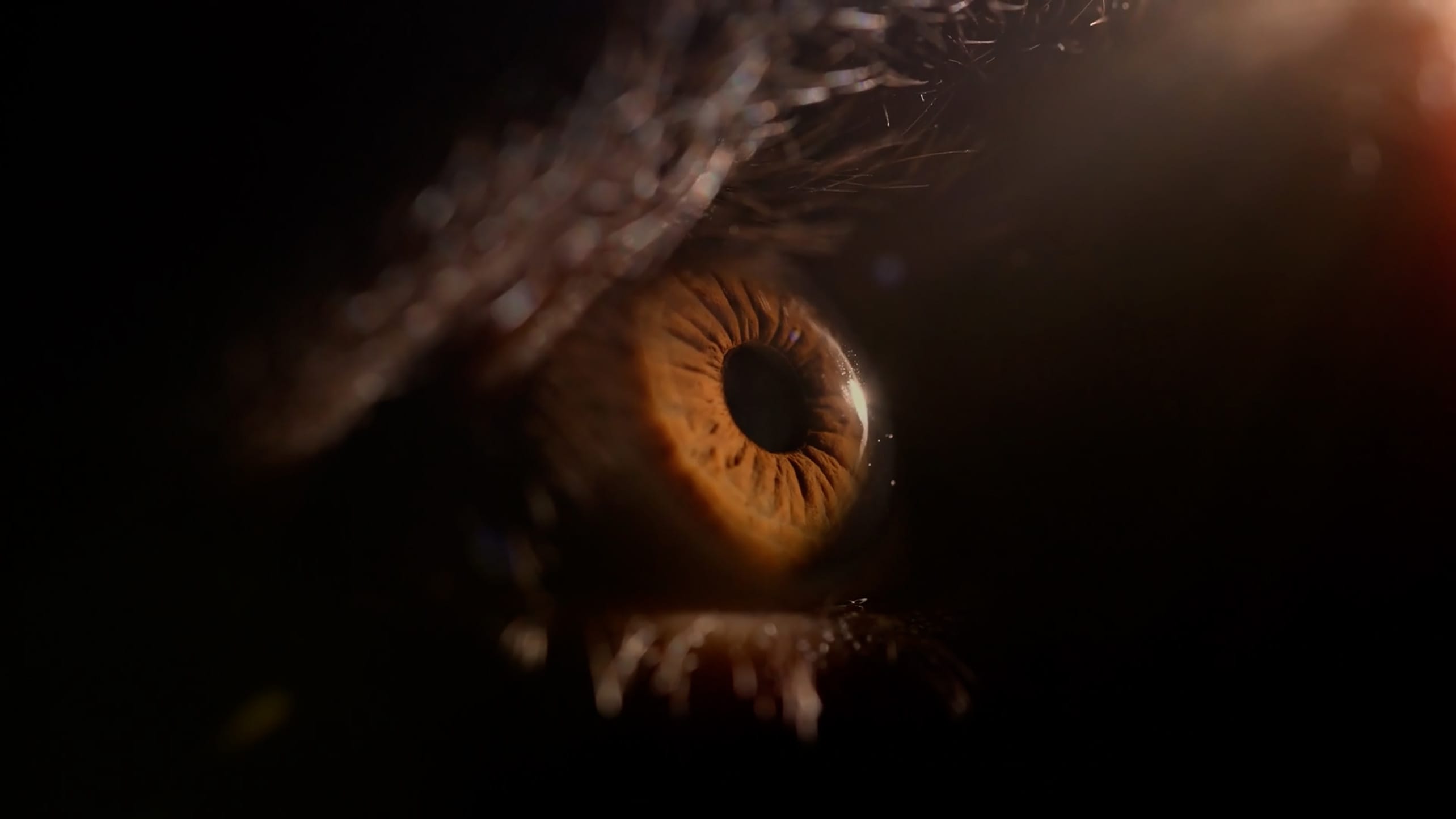 An extreme closeup shot of an eye with a brown iris on a dark background looking toward a single light source.