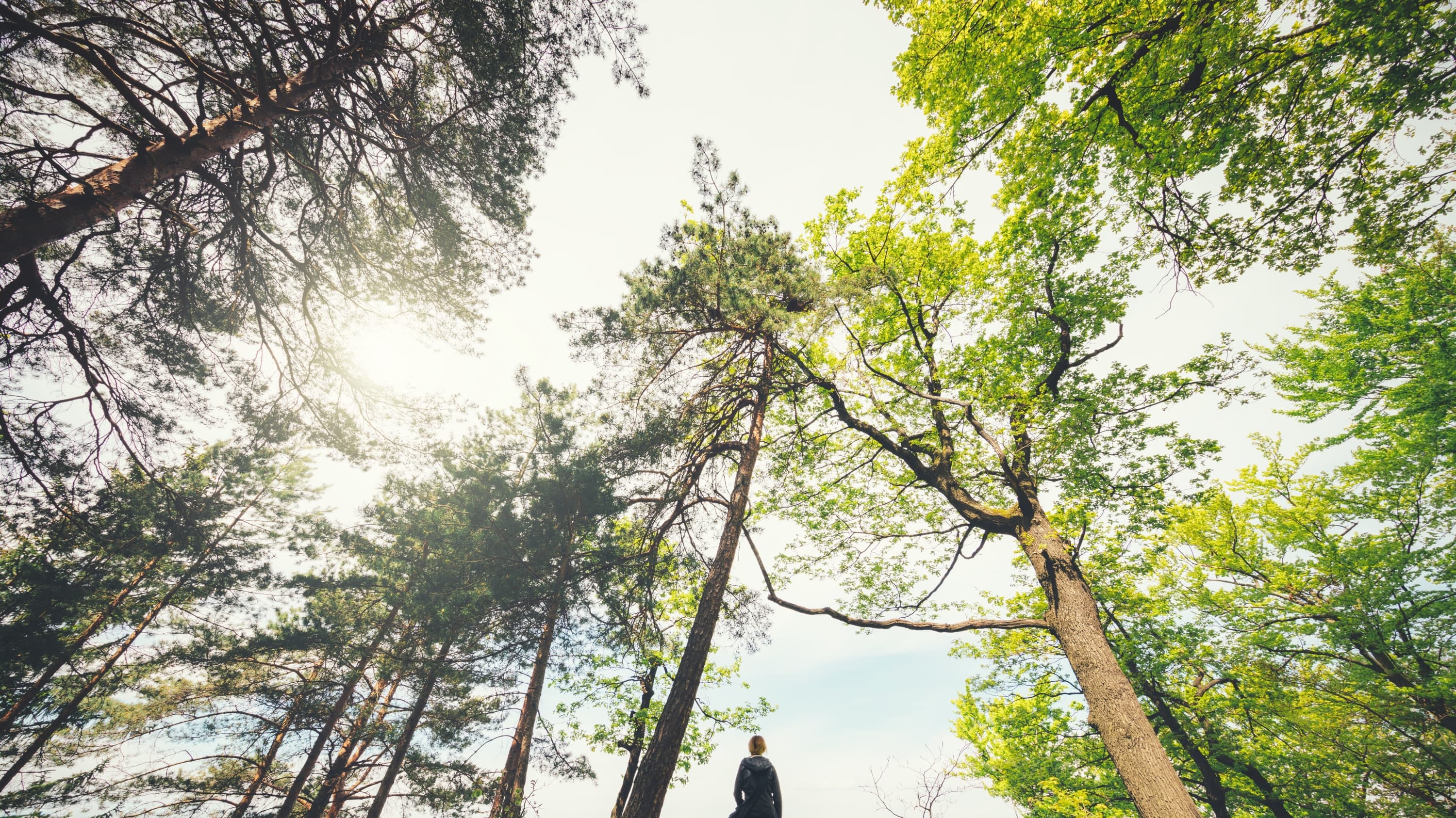Bertrand Tseng > Specialists > Yale Medicine