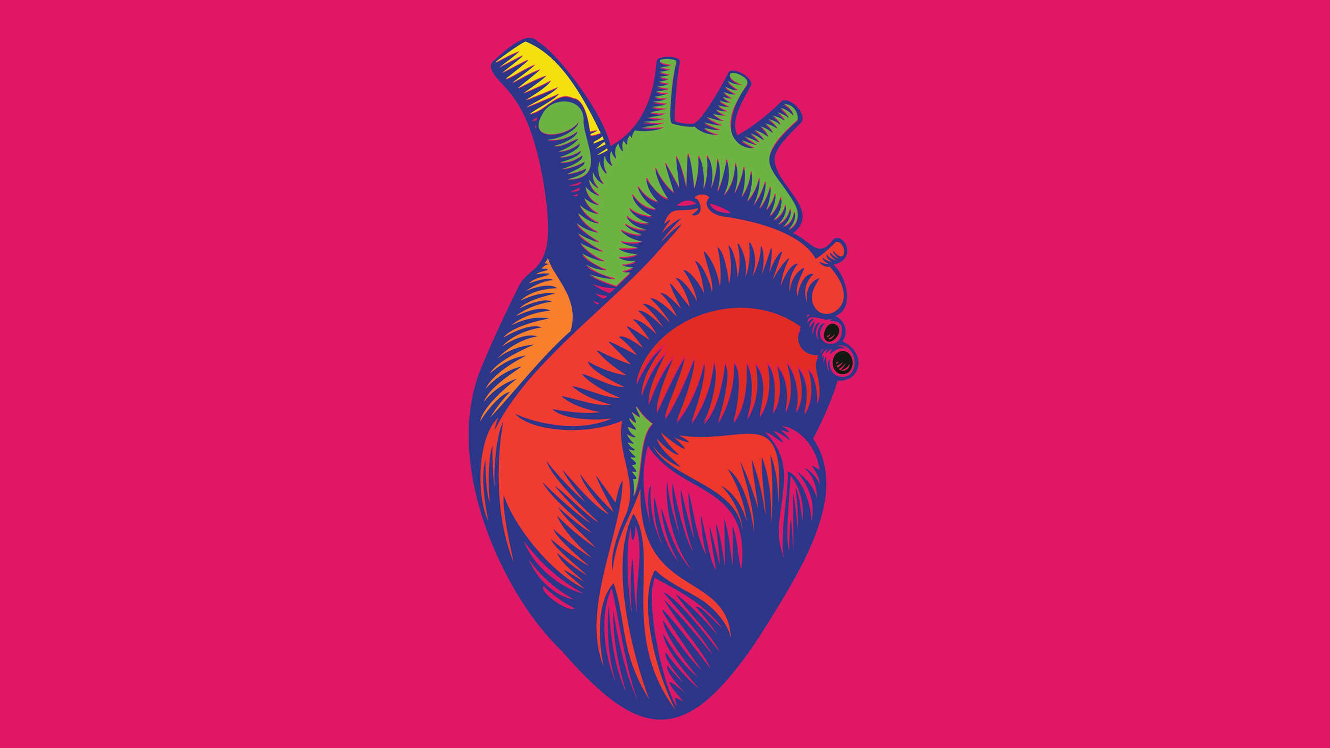 Anatomical illustration of a green and red heart on a bright pink background.