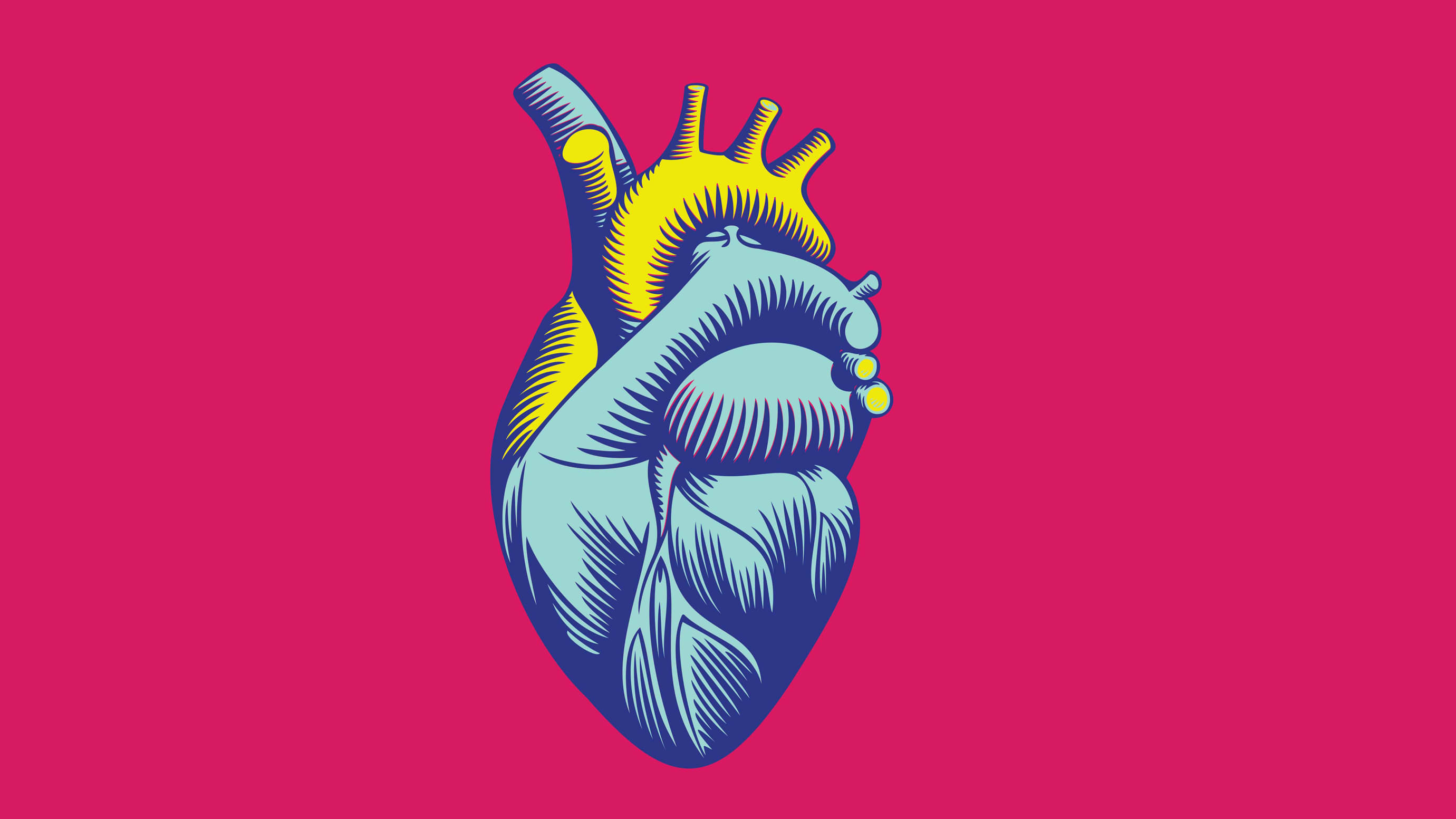 Anatomical blue and yellow heart illustration on hot pink background