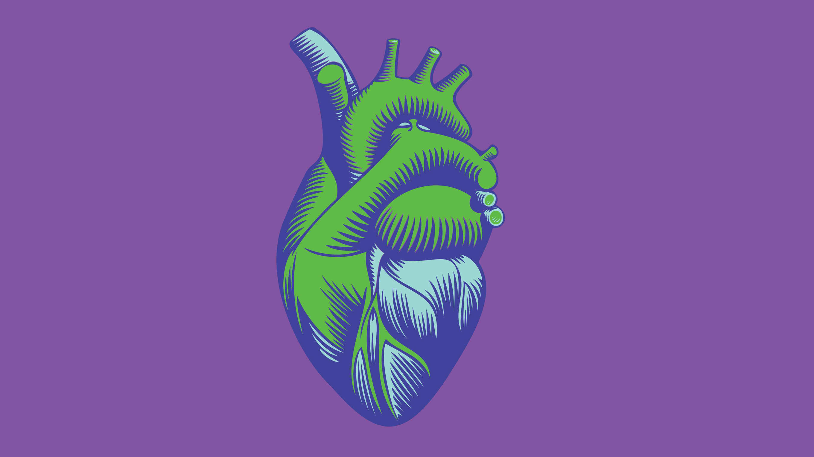 Anatomical illustration of a green and red heart on a sky blue background.