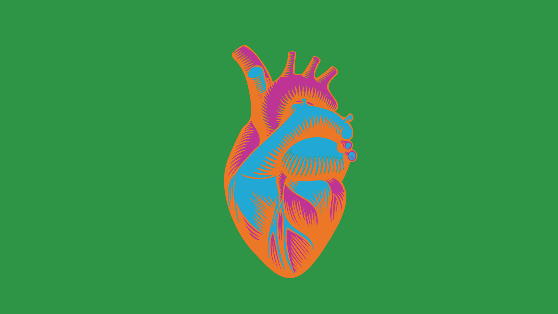 Anatomical illustration of a pink and orange heart on a green background.