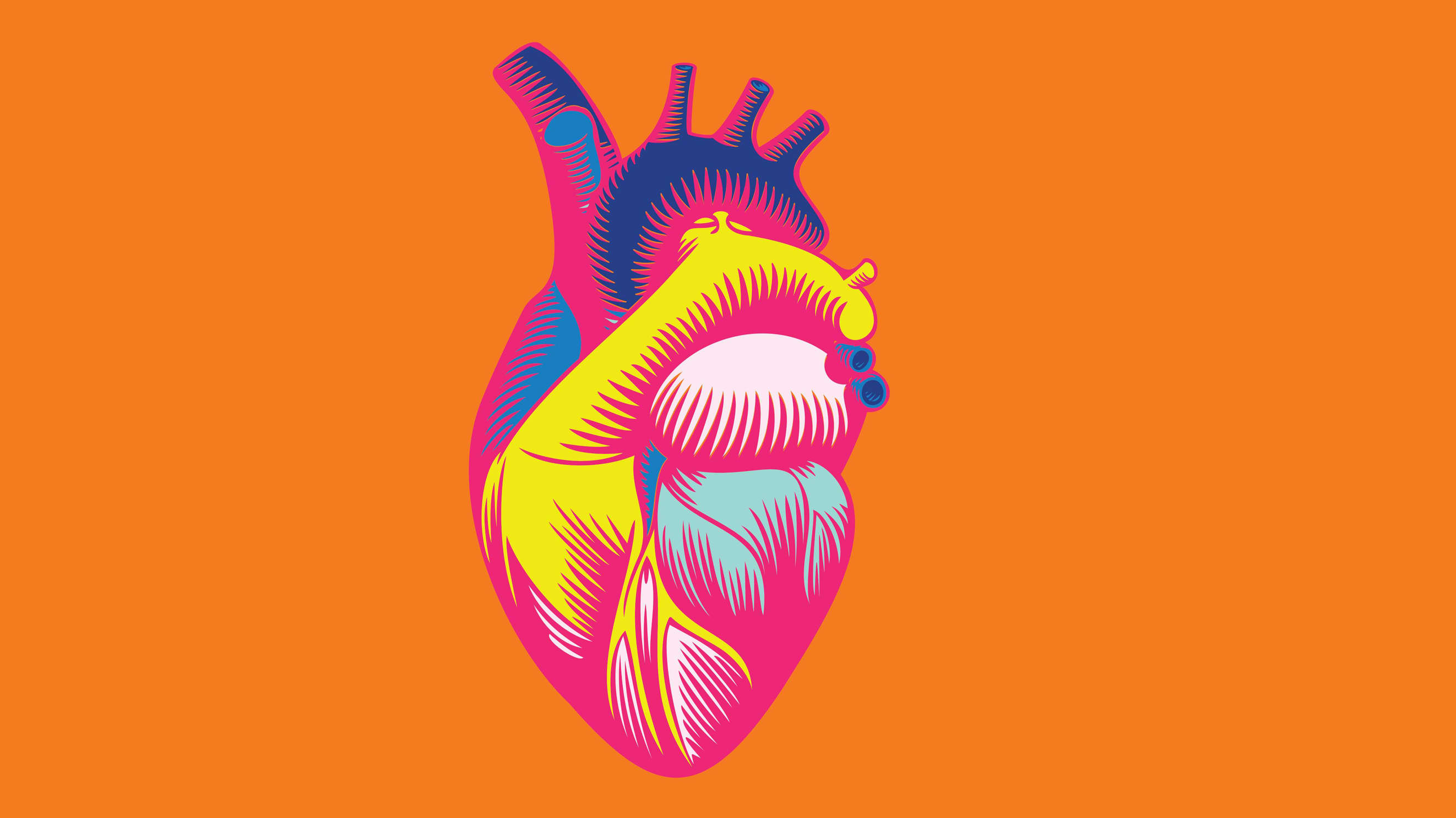Anatomical illustration of a pink and yellow heart on an orange background.