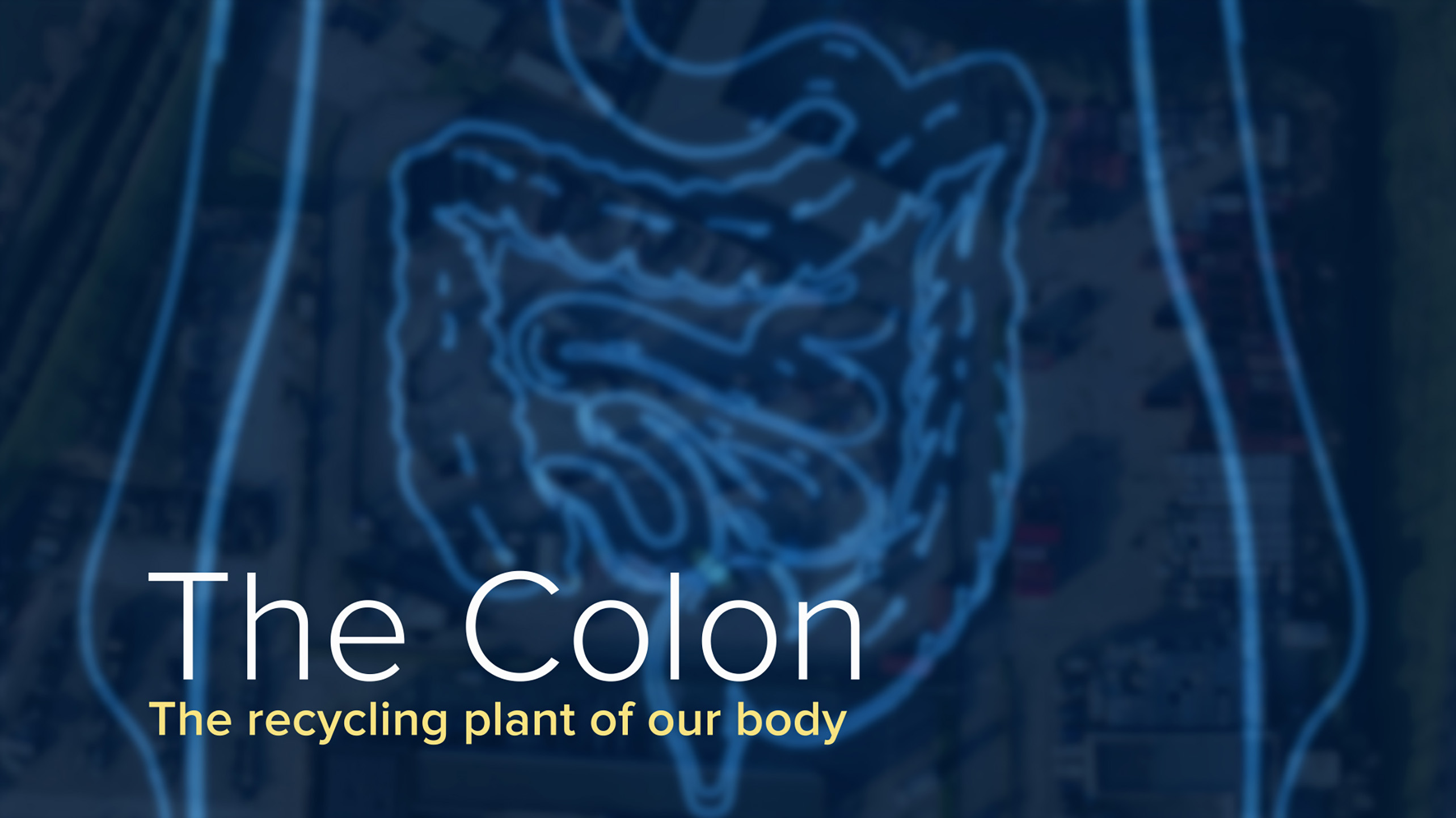 How Colon Cancer Occurs > News > Yale Medicine