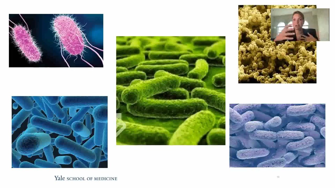 February 18, 2022: Stephanie Hanchuk, MD and Justin V Nguyen, MD 