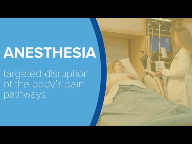 How Anesthesia Works - Yale Medicine Explains | Yale School of Medicine