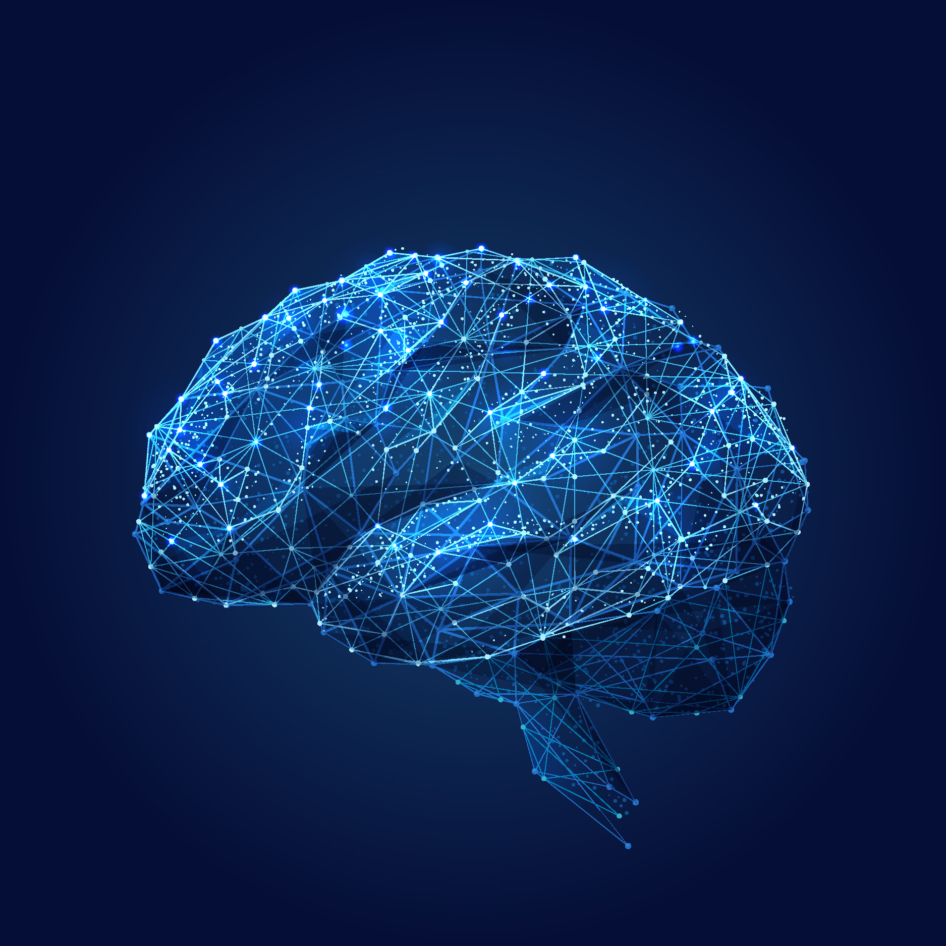 Yale scientists capture dynamic brain in action