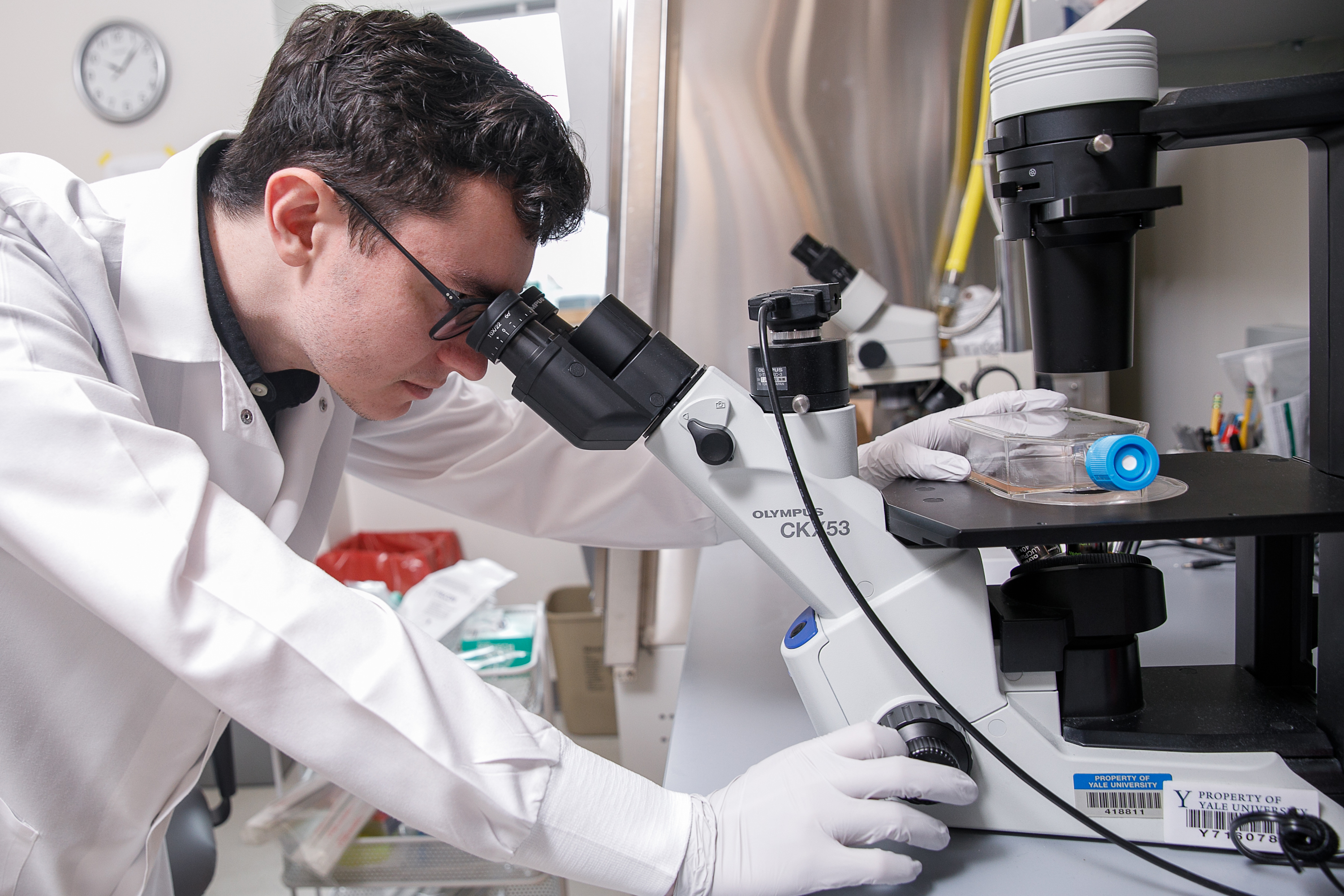 Photos | Foxman Lab