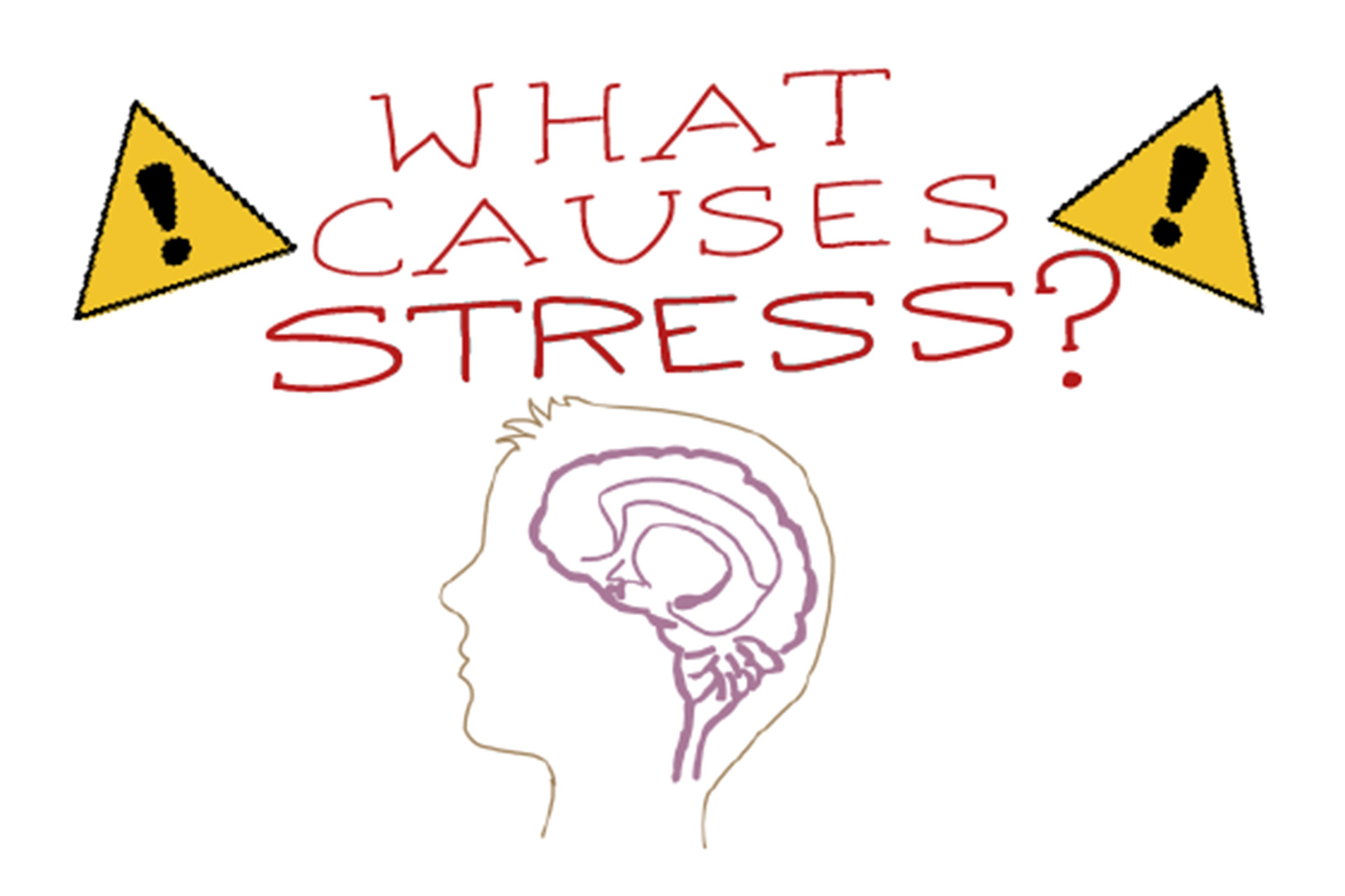 Poster for video What Causes Stress?