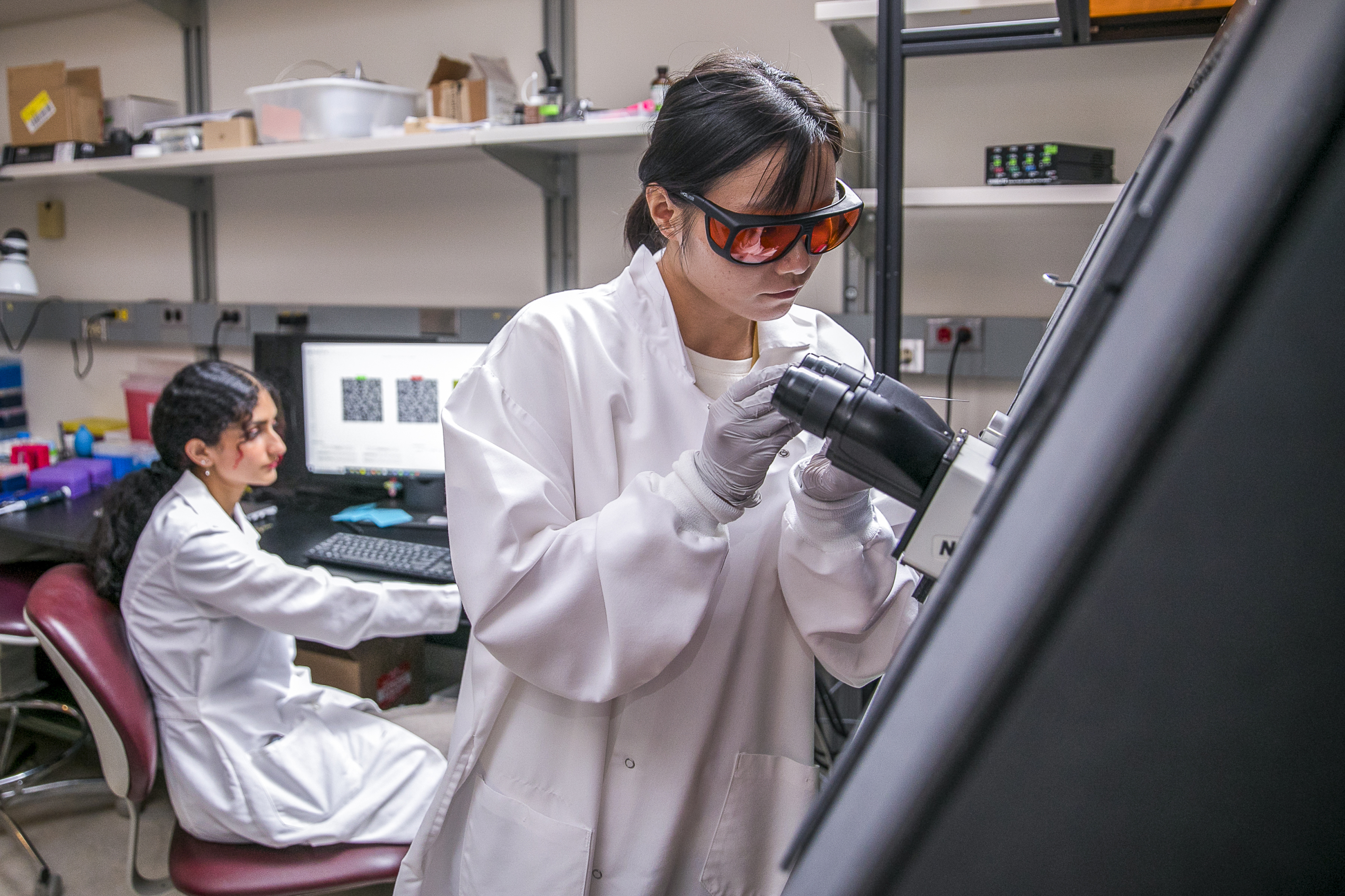 Photo Gallery | Mothes Lab