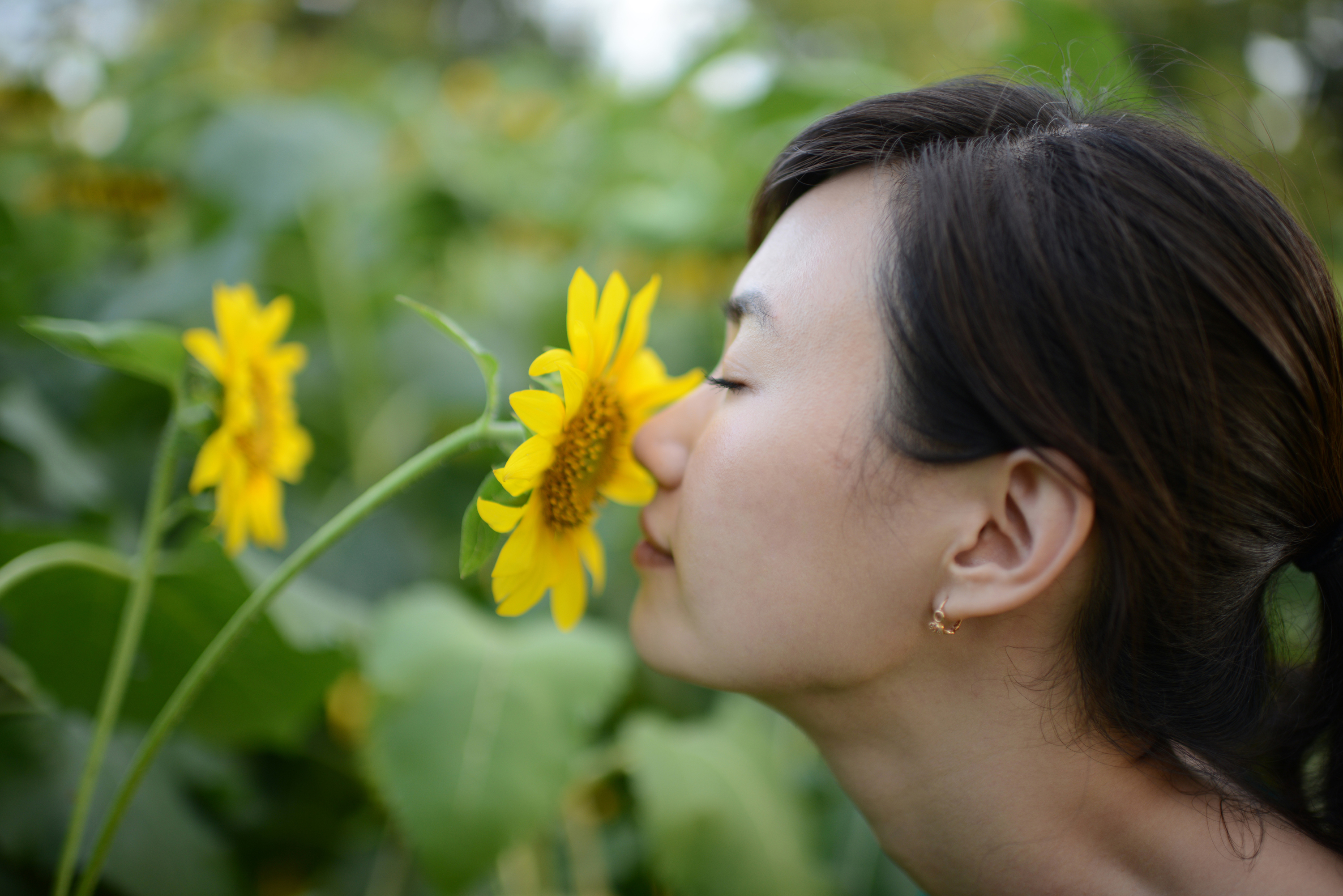 Сон воняю. Запах цветов. Нос и цветок. Цветы с запахом. Flower smell фулл.