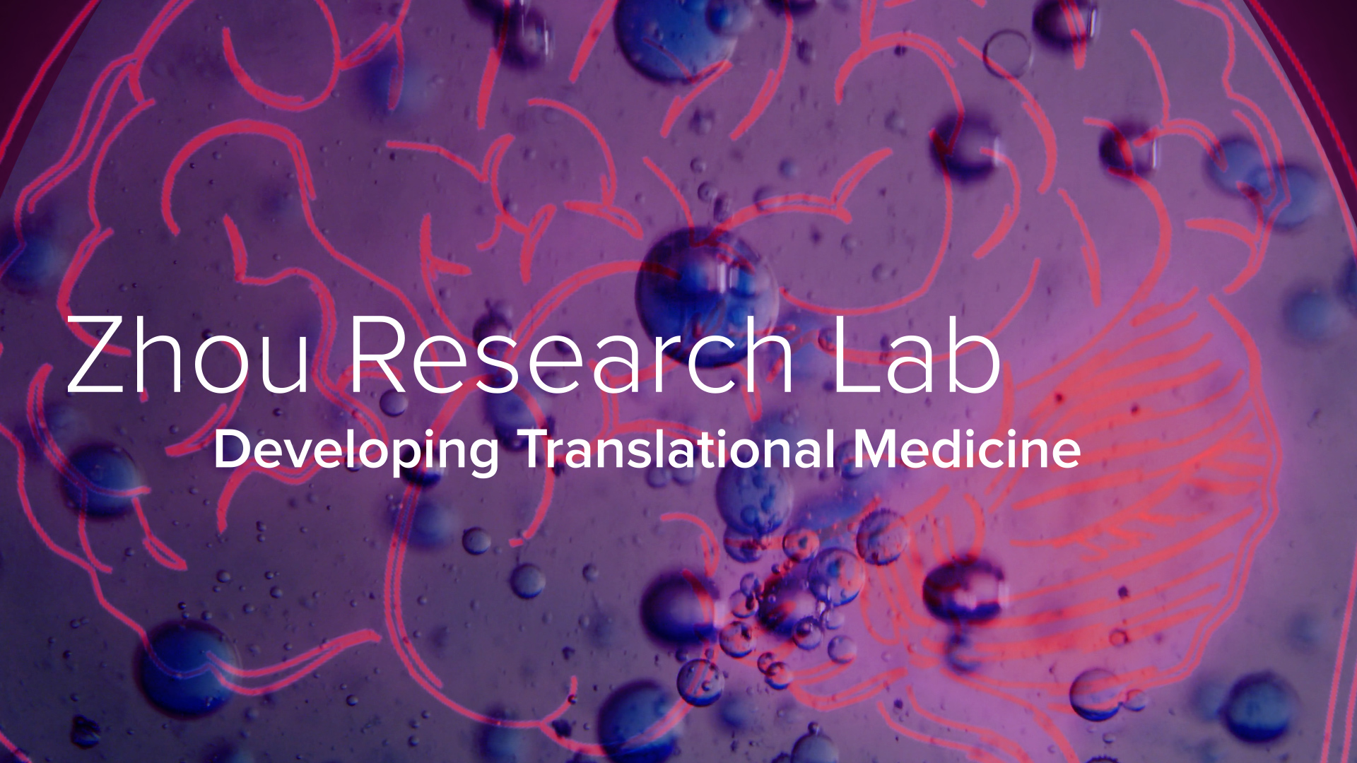 Nanoparticles, Genome Therapy & Antibodies - The Zhou Research Lab at ...