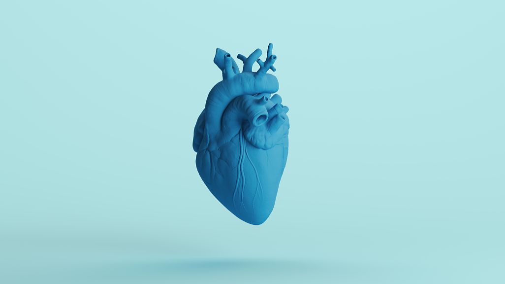 Bioprinted Aorta Shows Promise for Cardiovascular Disease Treatment