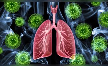 Research In The News: Vitamin A Receptor May Help Protect Lungs From  Smoking, Viral Infections < Yale School Of Medicine