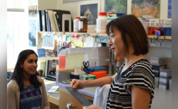 Outsmarting Herpes Researchers Use The Body S Natural Defenses To