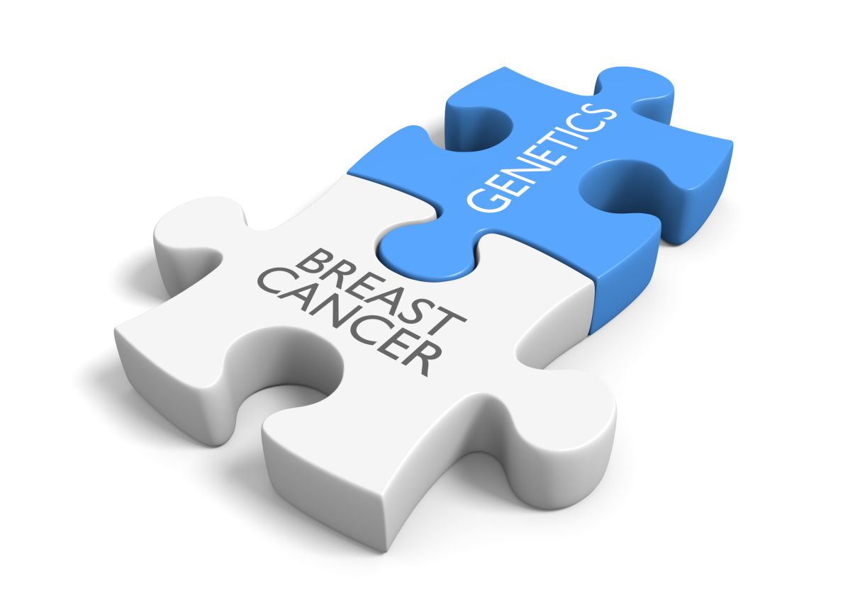 Breast Cancer Risk Genes — Association Analysis in More than